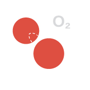 Deguonies (O2) detektoriai